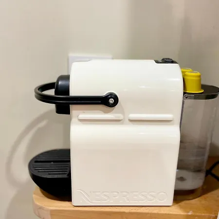 Appartement Palmiers, Coeur De Sur Le Parcours Des Arts